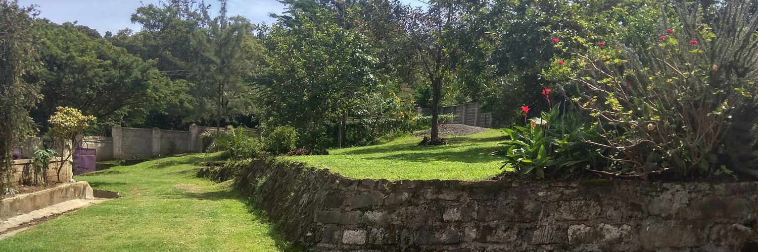 Kelvin Kimtai banner