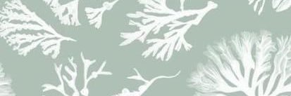 saksimizu's profile banner image
