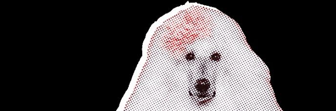 t_arimo's profile banner image