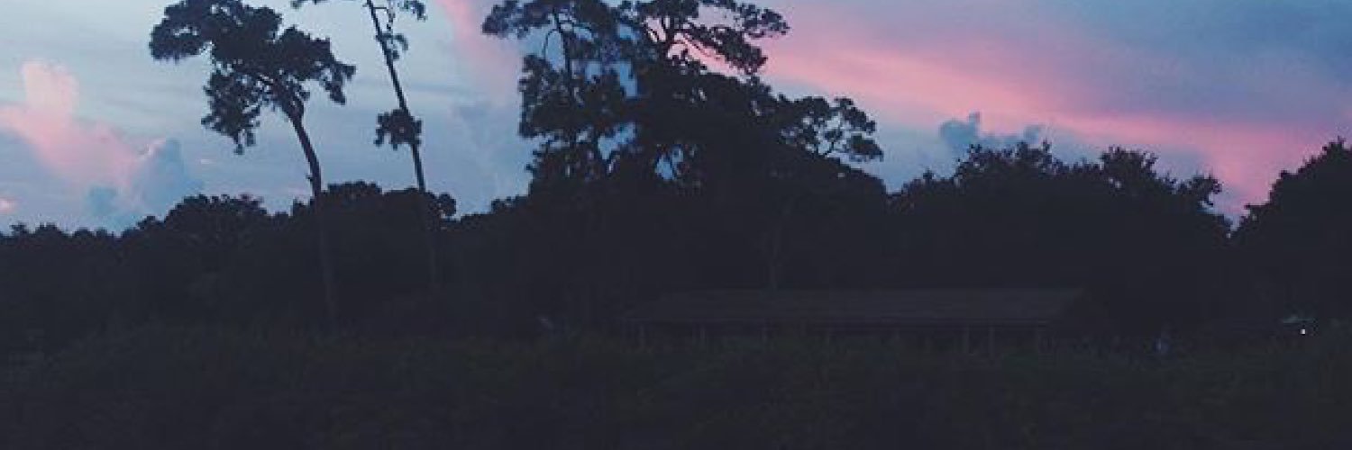 myyizzle's profile banner image