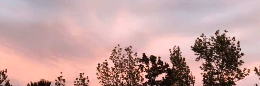 trinityquinn_'s profile banner image