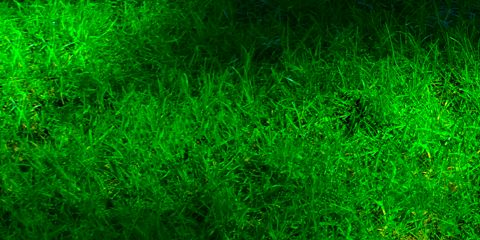 Gem_English's profile banner image