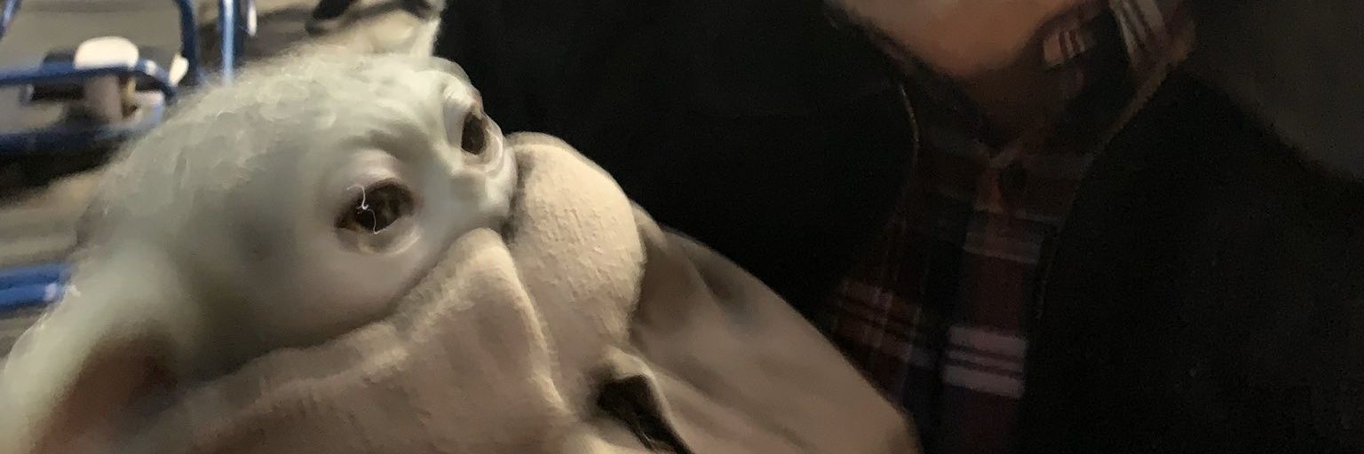 Sullmongous's profile banner image