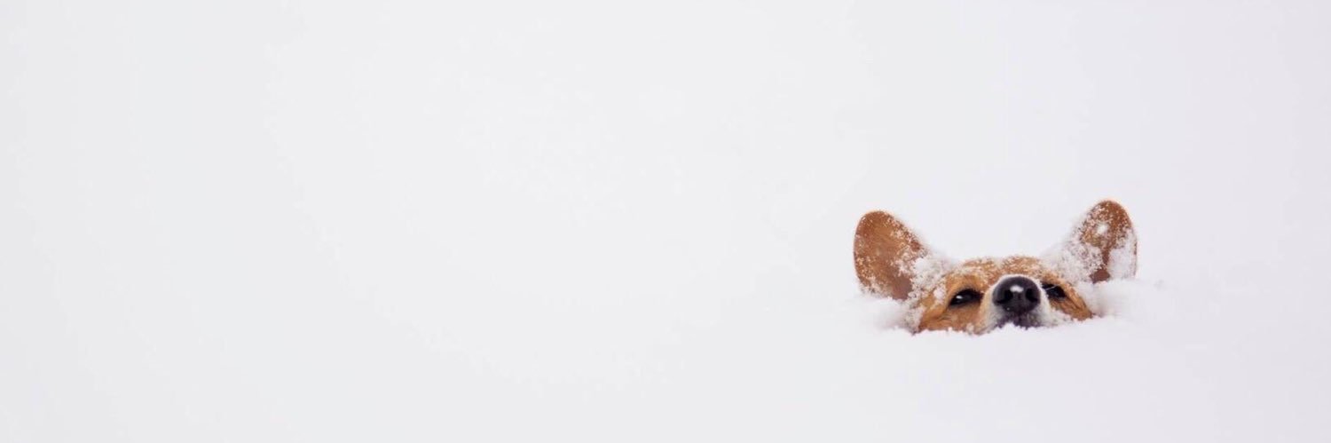 withruins's profile banner image