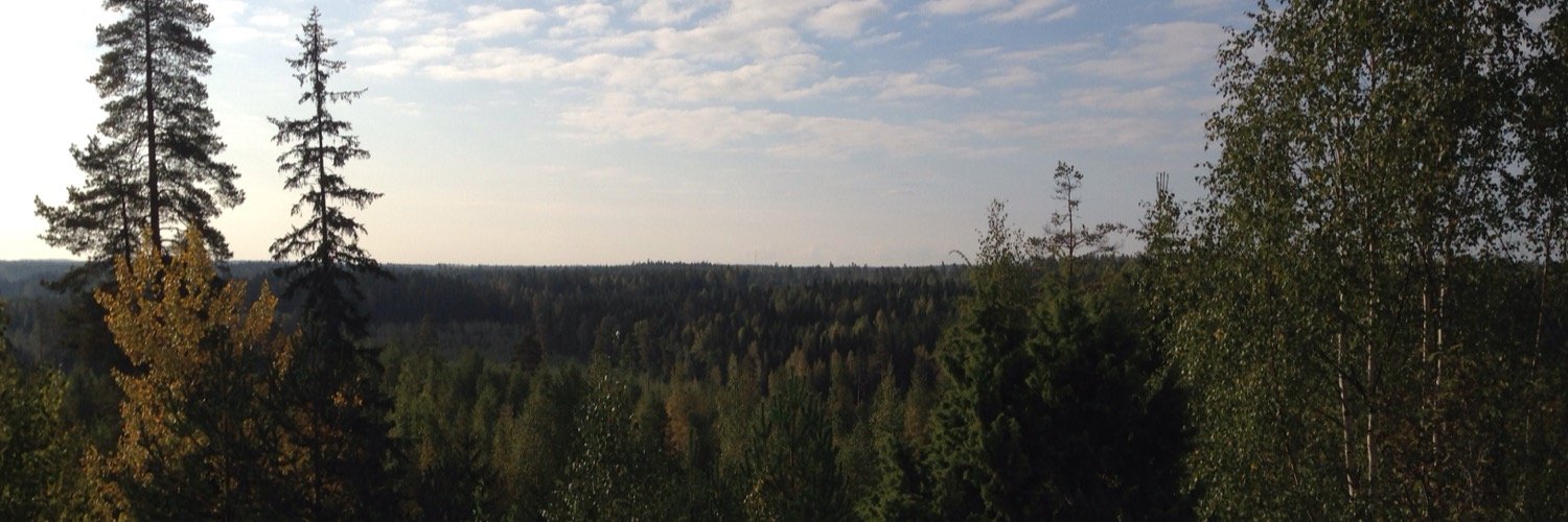 NiklasStubbe's profile banner image