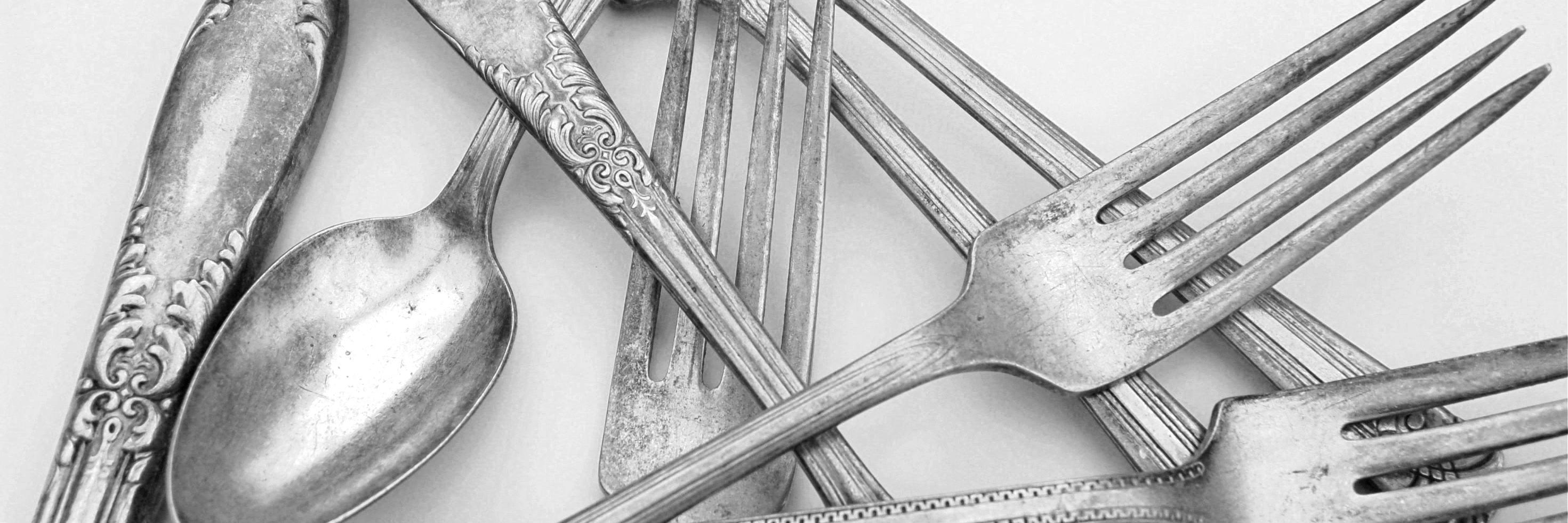 Diane Galambos banner