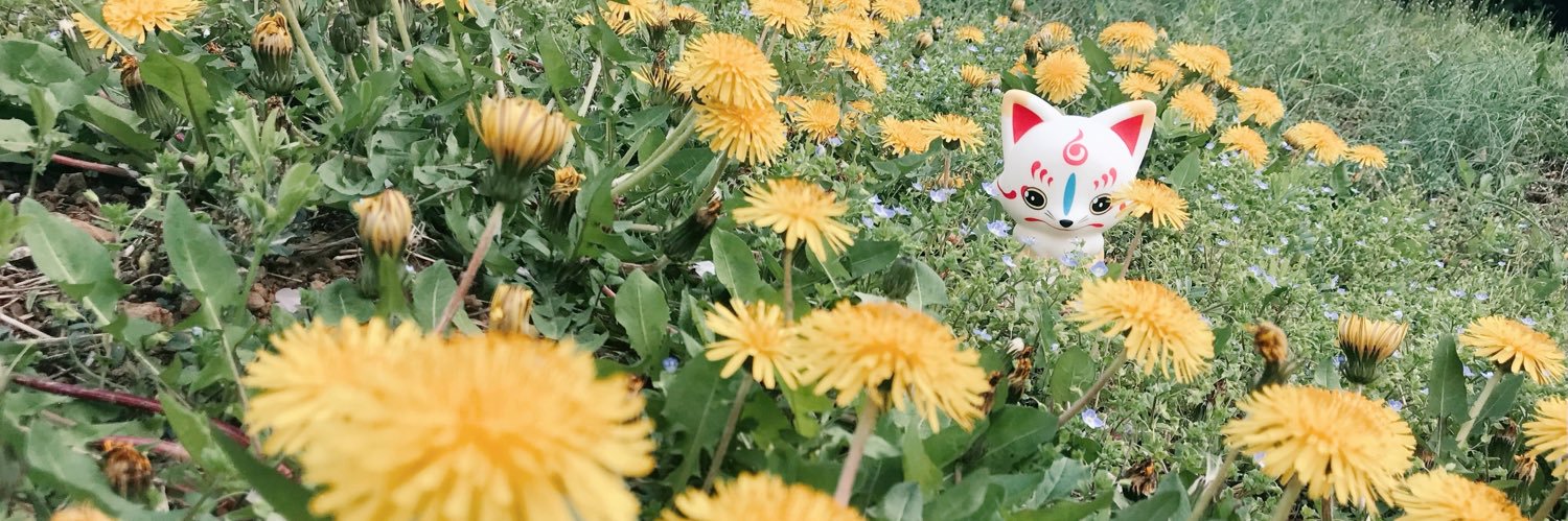 えふこܤ's banner