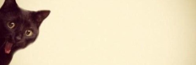 Tkais9009's profile banner image