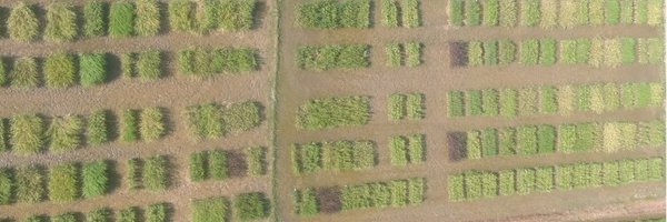 lekshmysnair Profile Banner