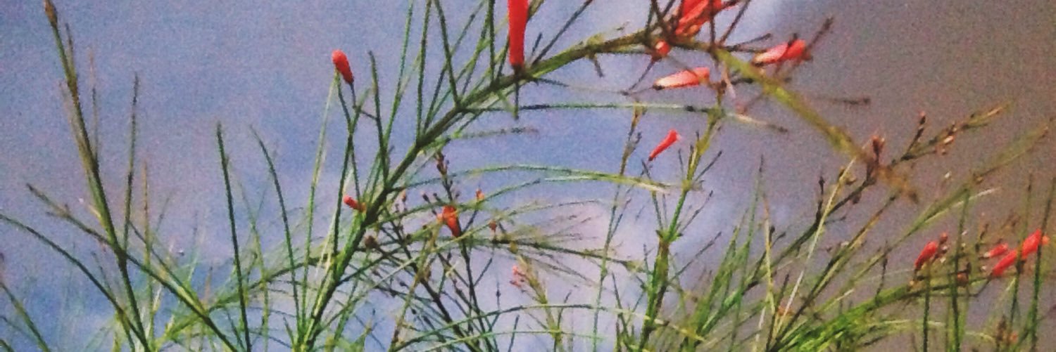 qtpxx's profile banner image