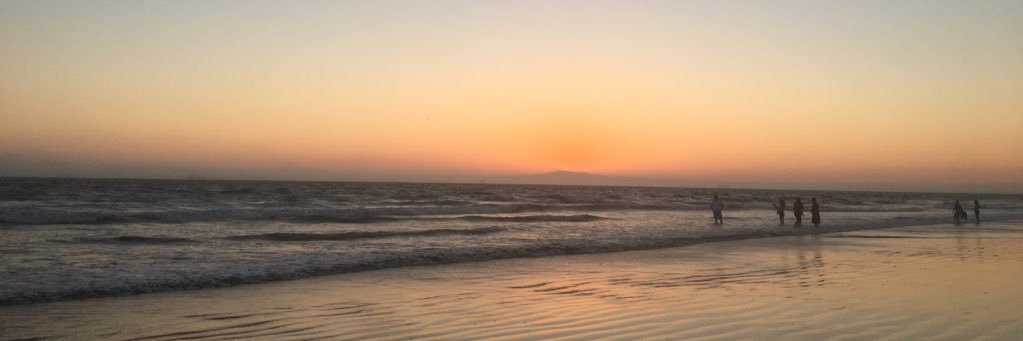 _Lagartija_'s profile banner image