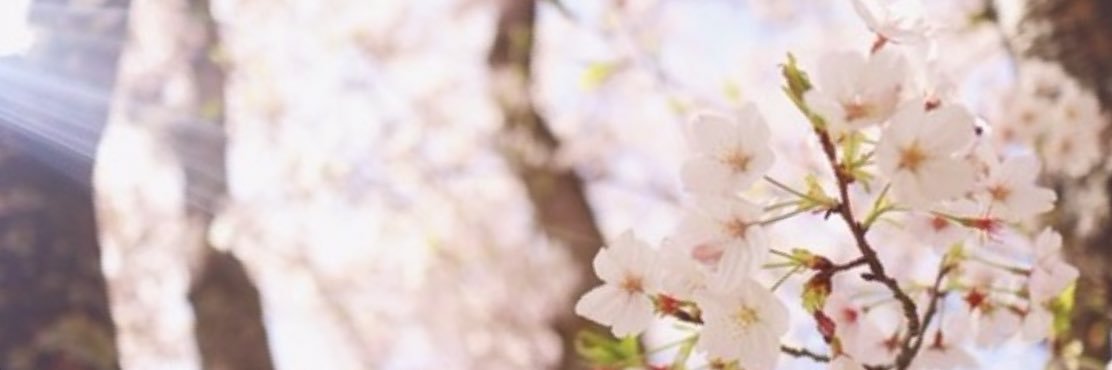 moahiroshi's profile banner image
