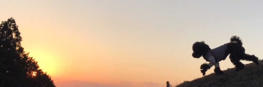 コア太郎🏕️🐶🛵 banner