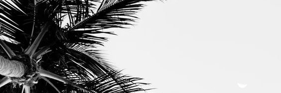 olivia_wigg's profile banner image