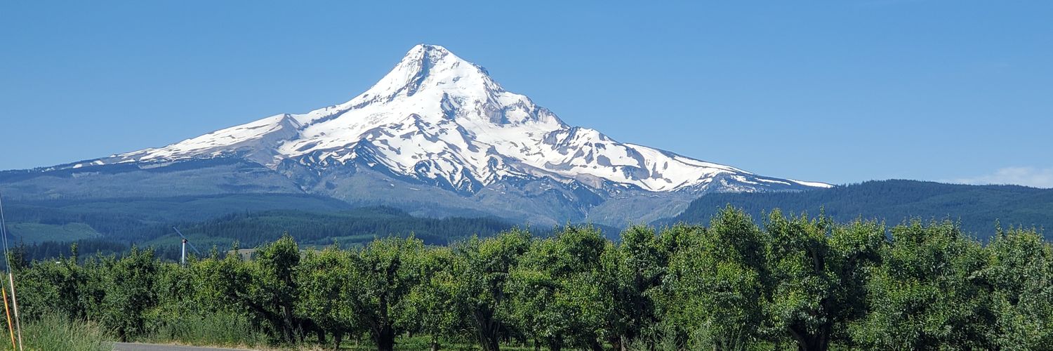 Rooted in Substance banner