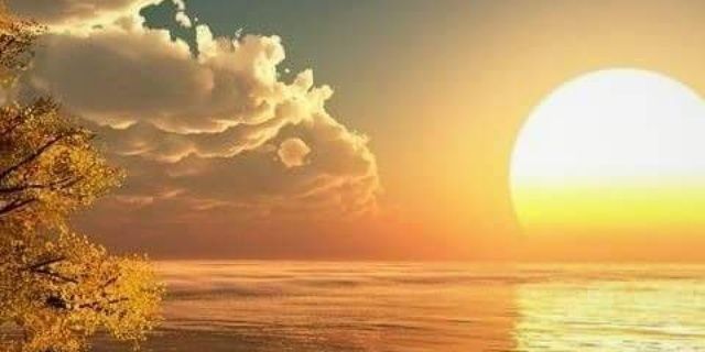 DamchaHallidaf's profile banner image