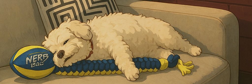 Wilburino's profile banner image