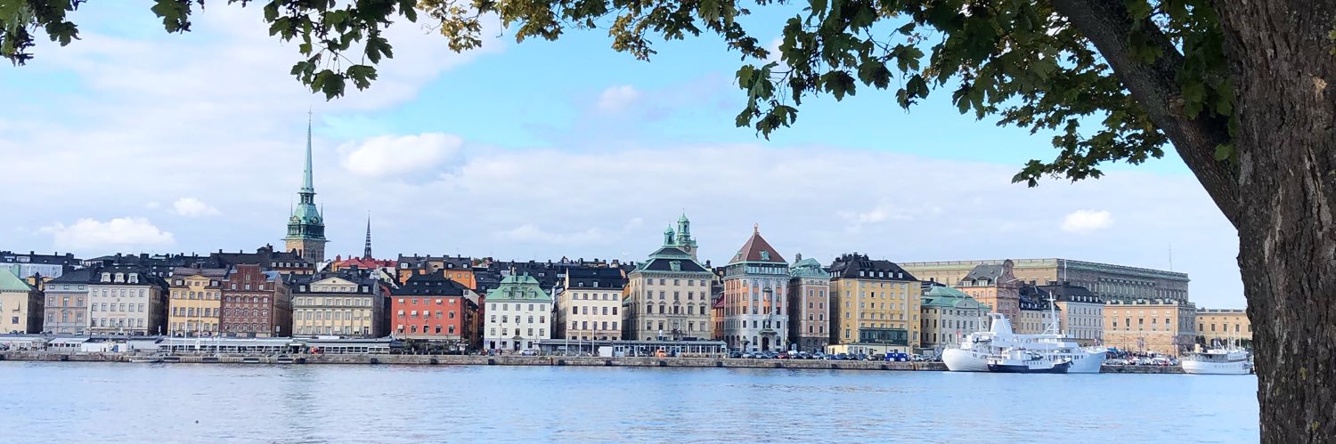 MiinaSoderholm's profile banner image