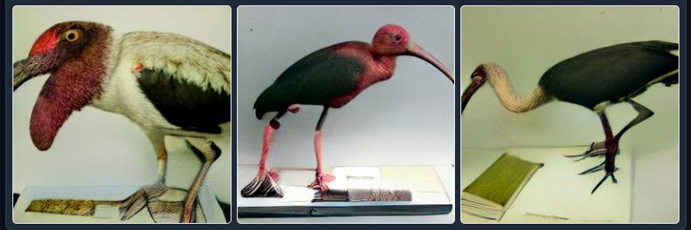 🟦☁@stervander.com Martin Stervander 🏳️‍🌈🐦🐡 banner