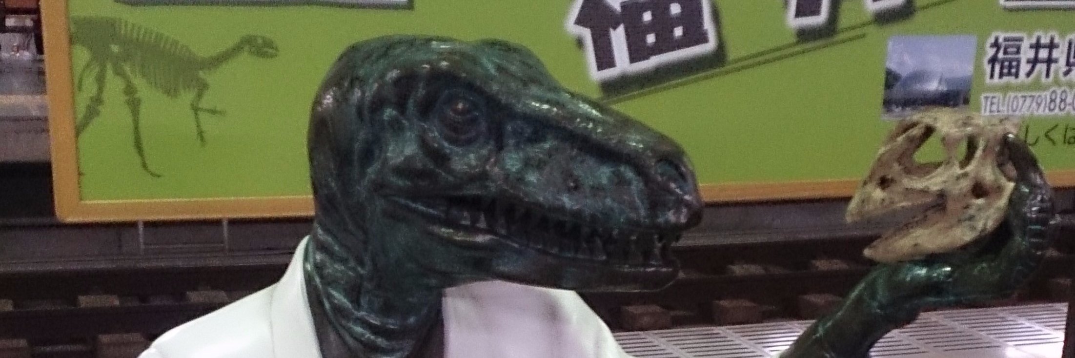 toriko6's profile banner image