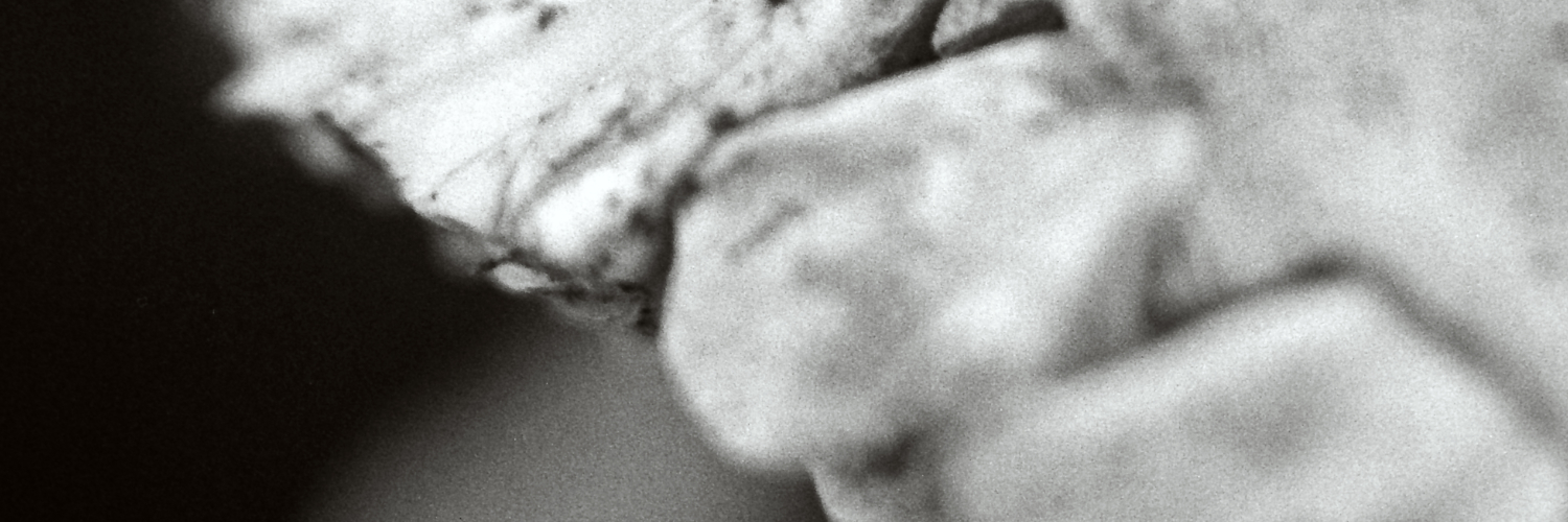 i_parasite's profile banner image