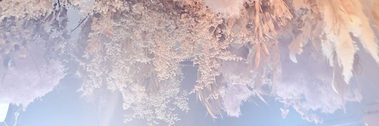 JUN ( 'ㅅ' ) banner