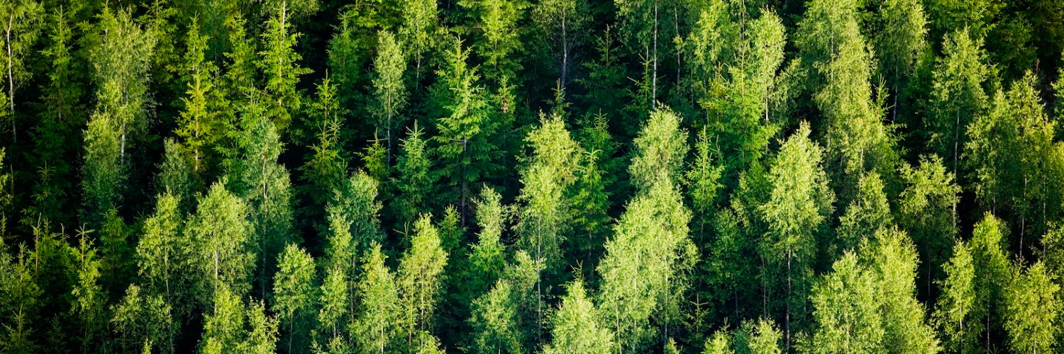 cooperseattle's profile banner image