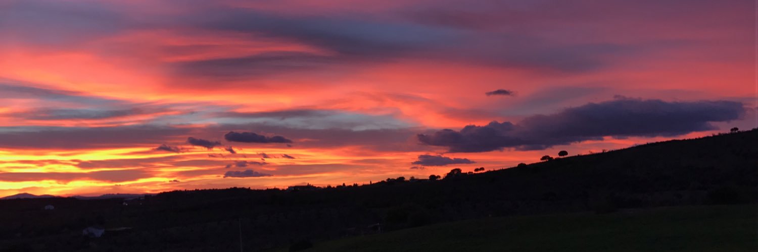 AydenDelgado19's profile banner image
