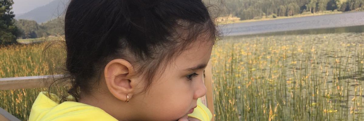 macitozceri's profile banner image