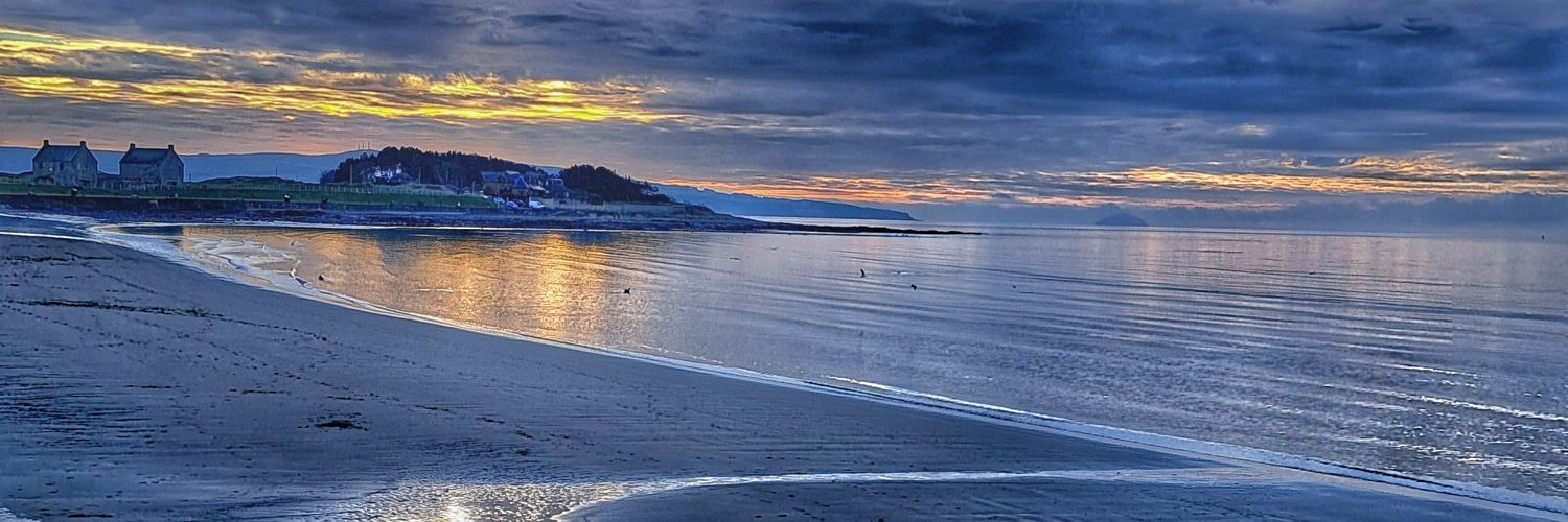 Alan Williams banner