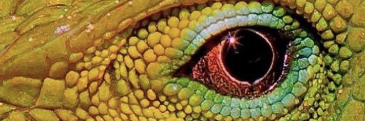 __baddhel's profile banner image