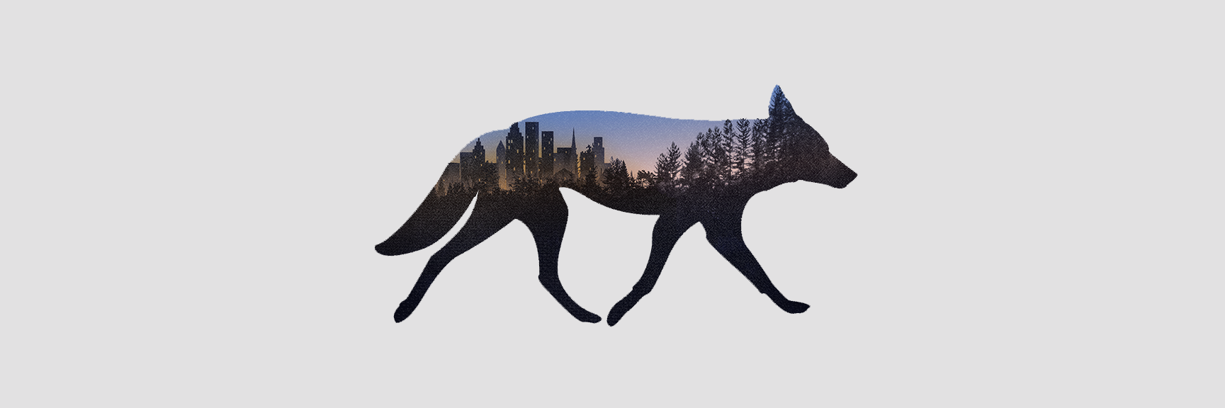 UrbanCoyoteIntv's profile banner image
