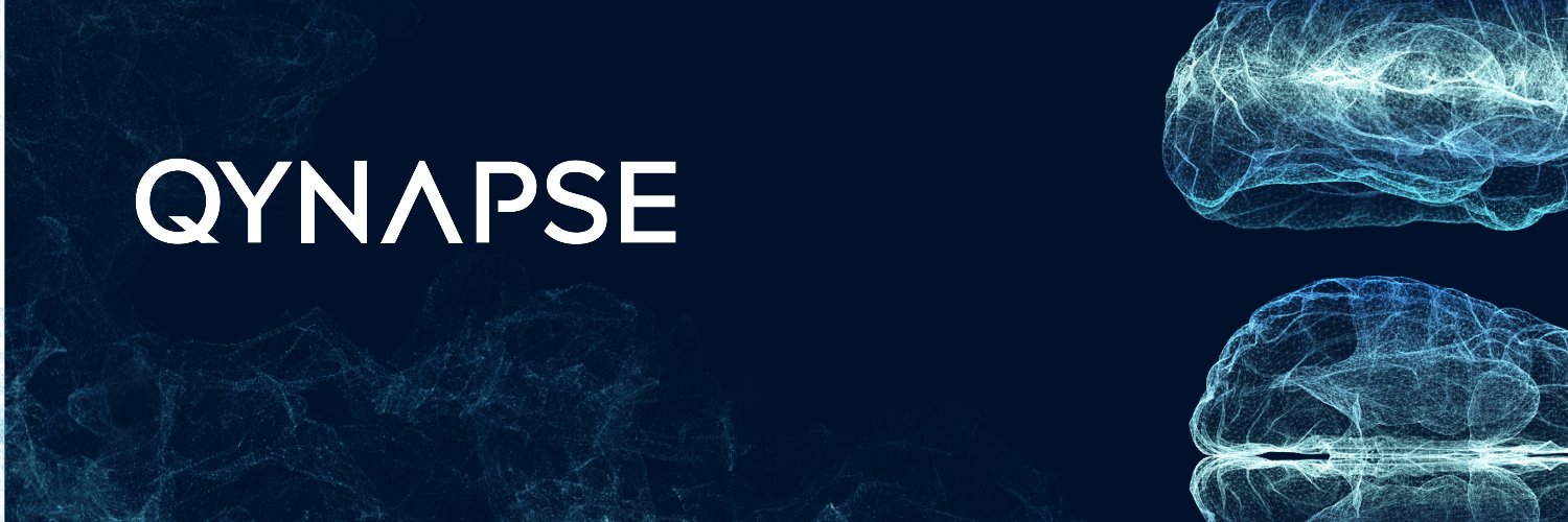 Qynapse banner