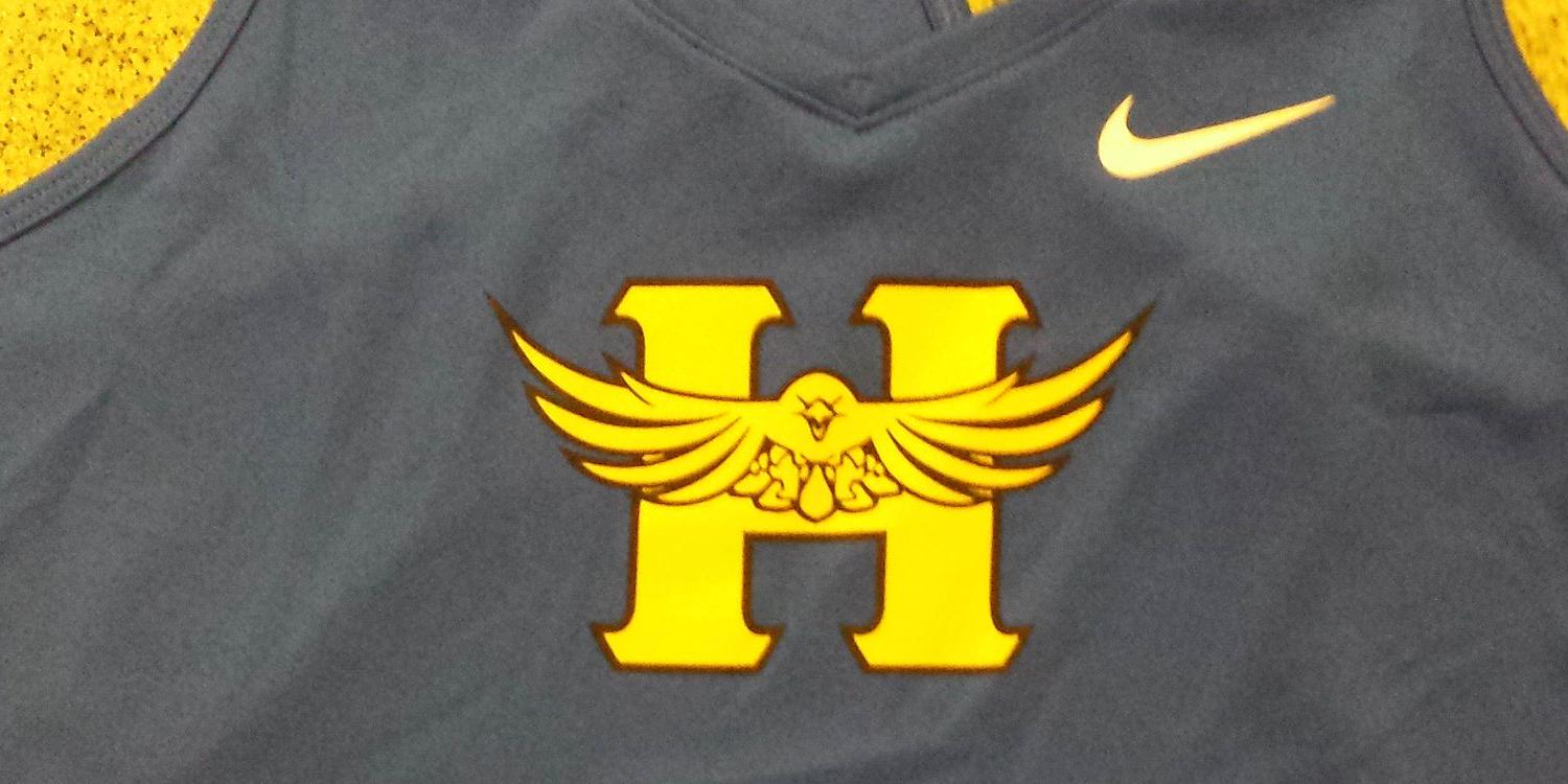 Salthawk Track banner