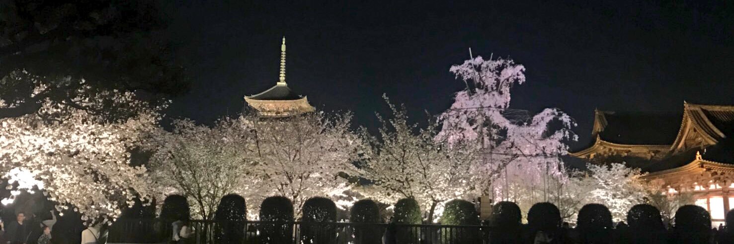shunki8455's profile banner image