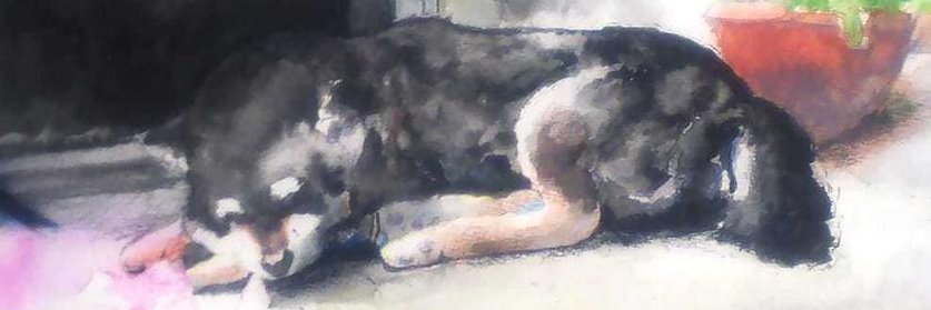 kalruse's profile banner image