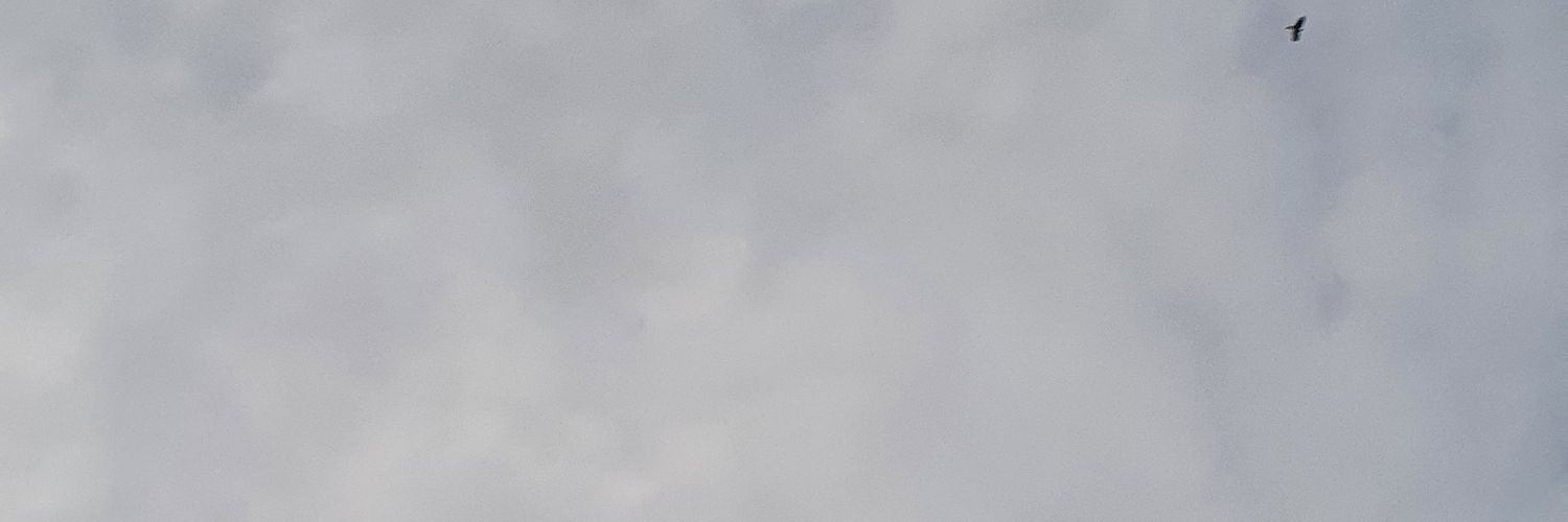 SohebAlomari's profile banner image