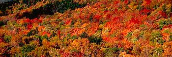 Somerset9111's profile banner image