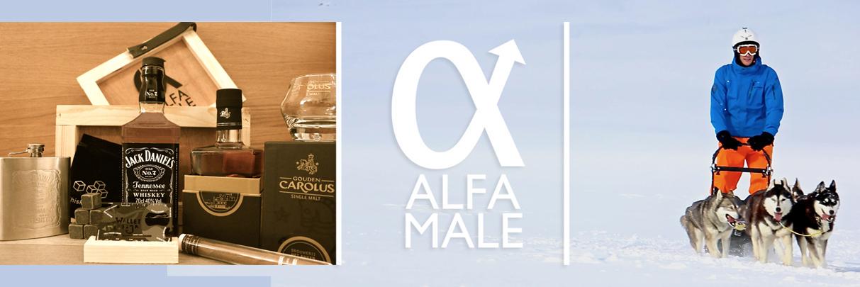 AlfaMale_be's profile banner image