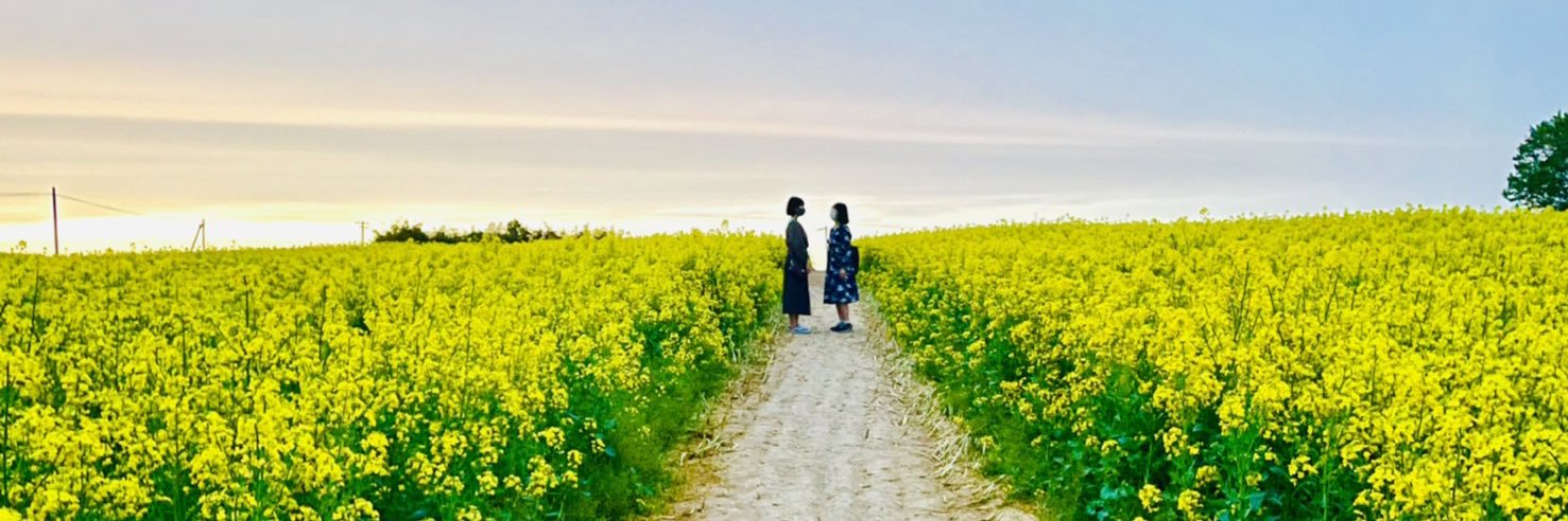 mhslowly's profile banner image