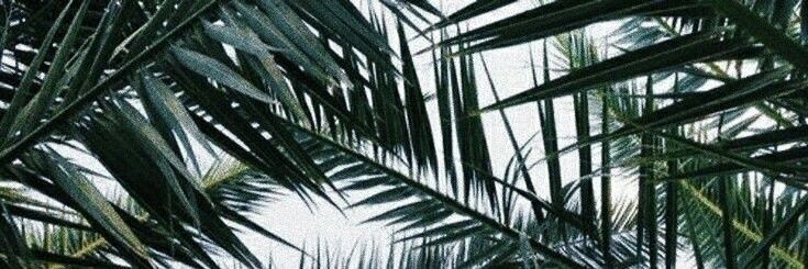 ammarkamsani's profile banner image