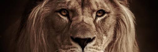 saqib15994's profile banner image