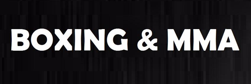 worldboxingnewz's profile banner image