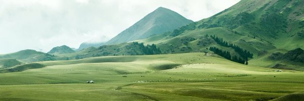 ONet_IPBES Profile Banner