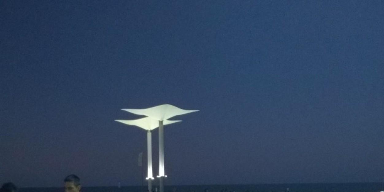 ggesualdo2's profile banner image