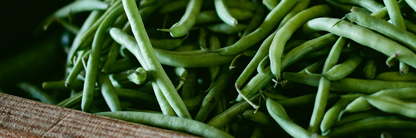 ForgeFoodPDX's profile banner image