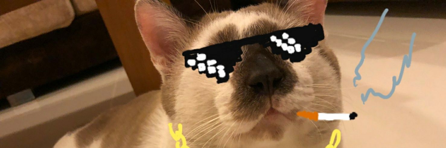 โบ้เองค้าบ banner