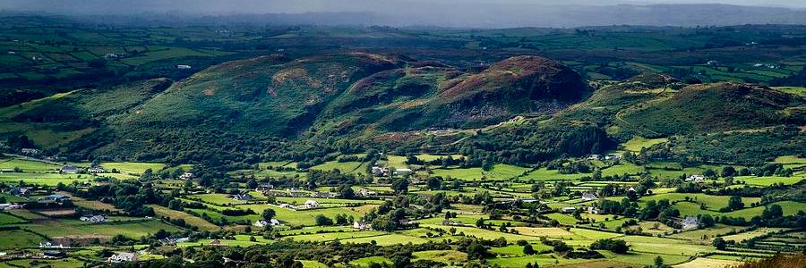 Love Gullion banner