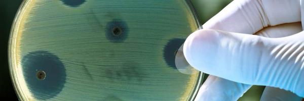 DRIVE_AB Profile Banner