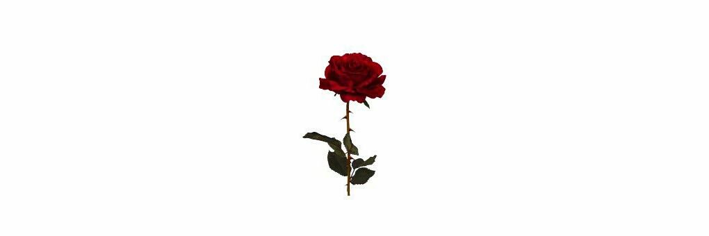 ____DaNN____'s profile banner image